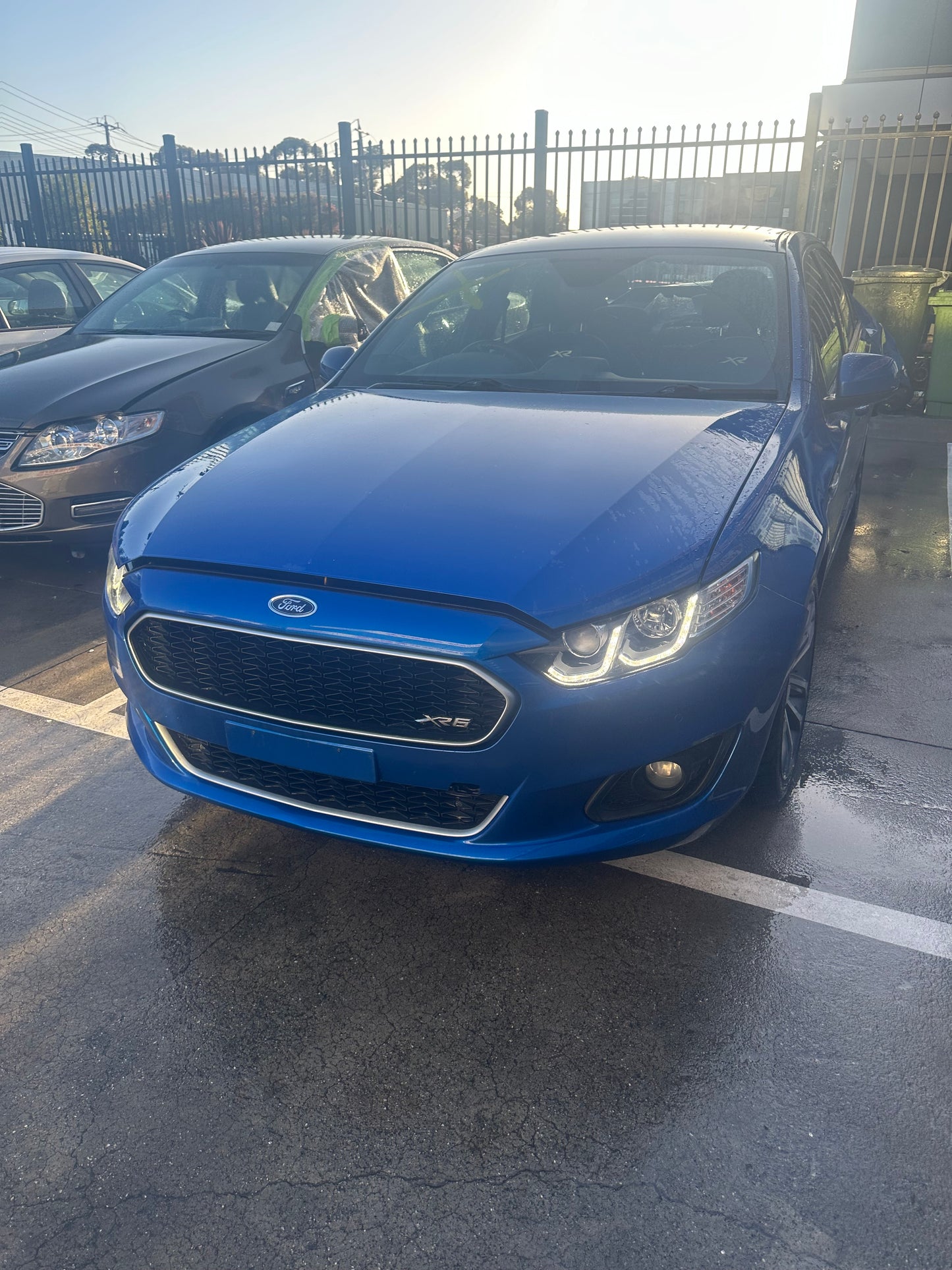 FGX Falcon XR6